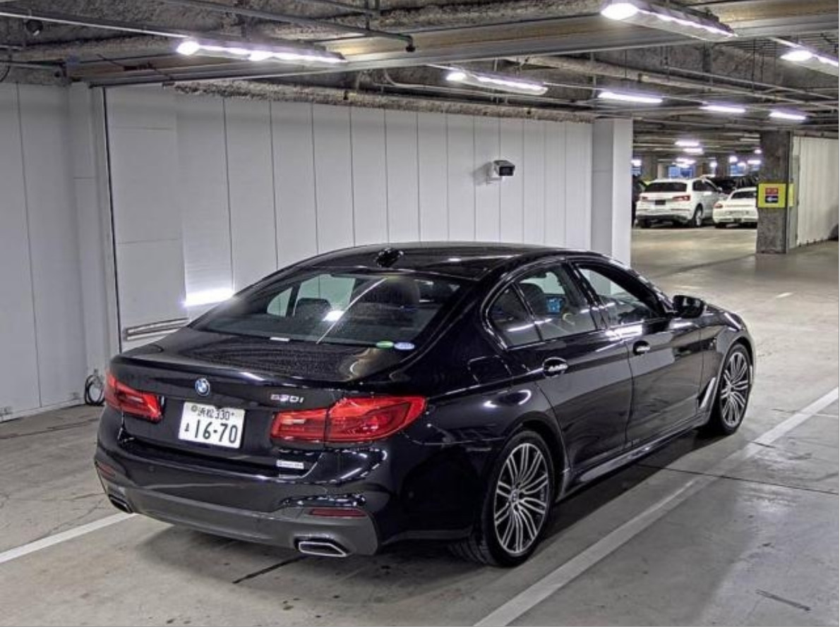 
Bmw 530 I MSP 2.0 2018 г. full									