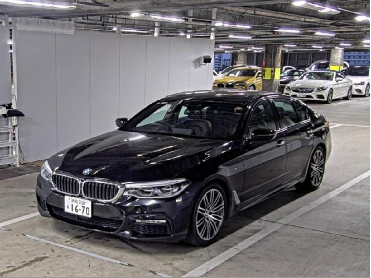 
Bmw 530 I MSP 2.0 2018 г. full									